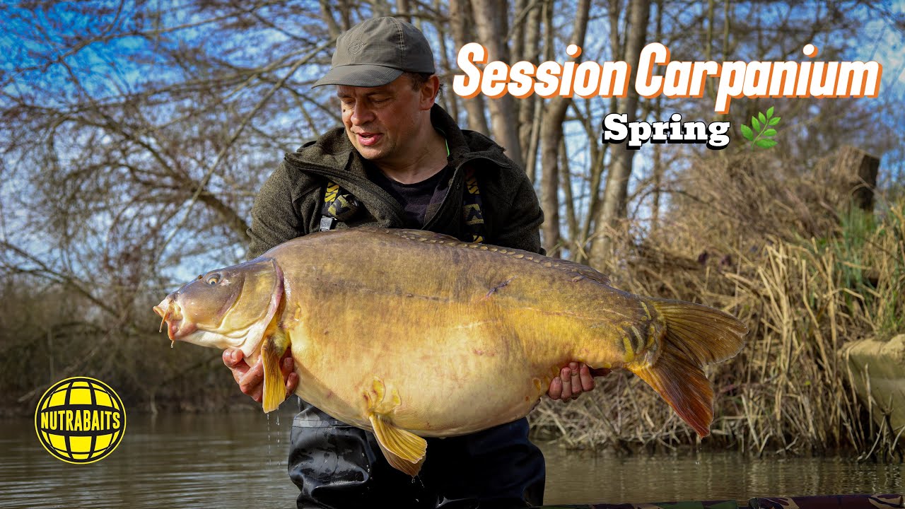 ▪️SESSION CARPANIUM - Printemps 🌿. Carpfishing spring . #carp #carpfishing
