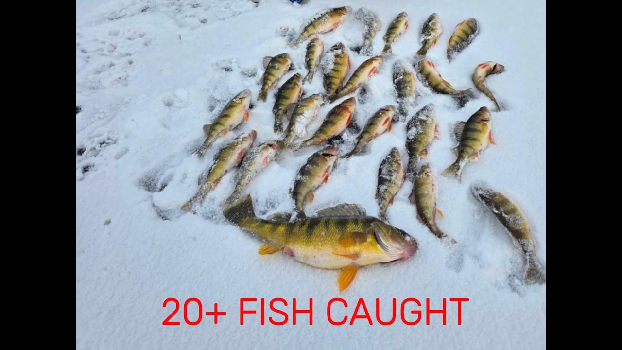 ICE AND RIVER FISHING IN IDAHO (Lake Cascade)