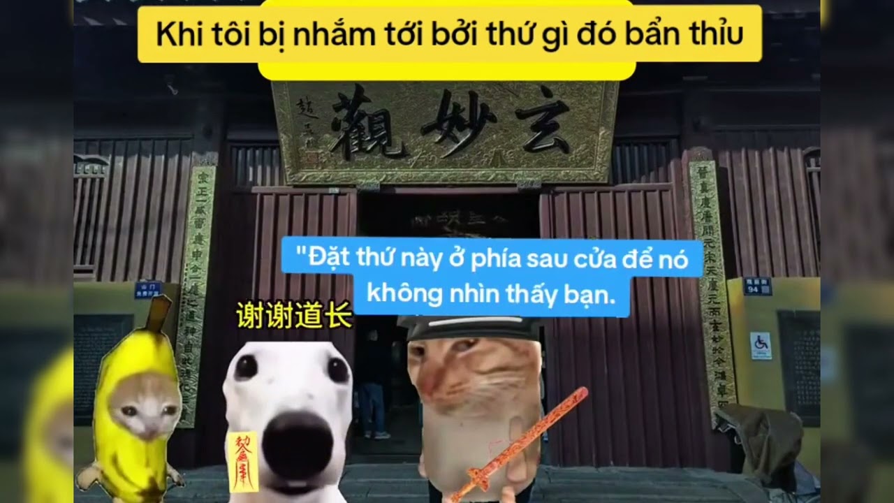 Khi T&ocirc;i Bị Thứ G&igrave; Đ&oacute; Bẩn Thỉu B&aacute;m Theo | Queen Cat