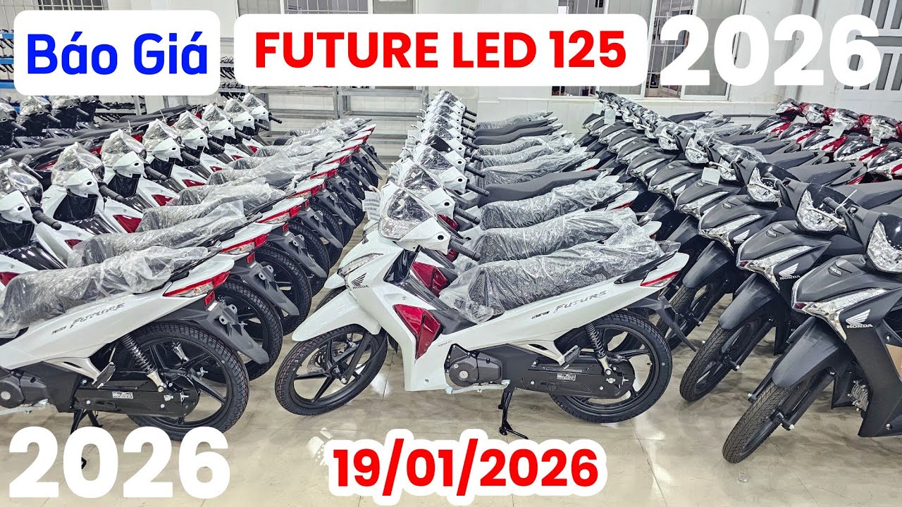 Báo giá FUTURE LED 125 mới nhất ngày 19/01/26 tại head Huỳnh Bạch Tùng. Khải Phạm #future #125 #2026