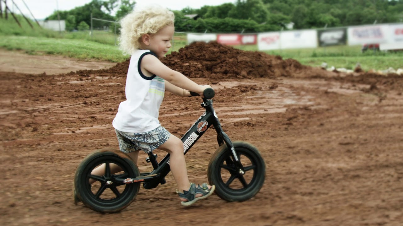 Live Free[er] | Harley-Davidson