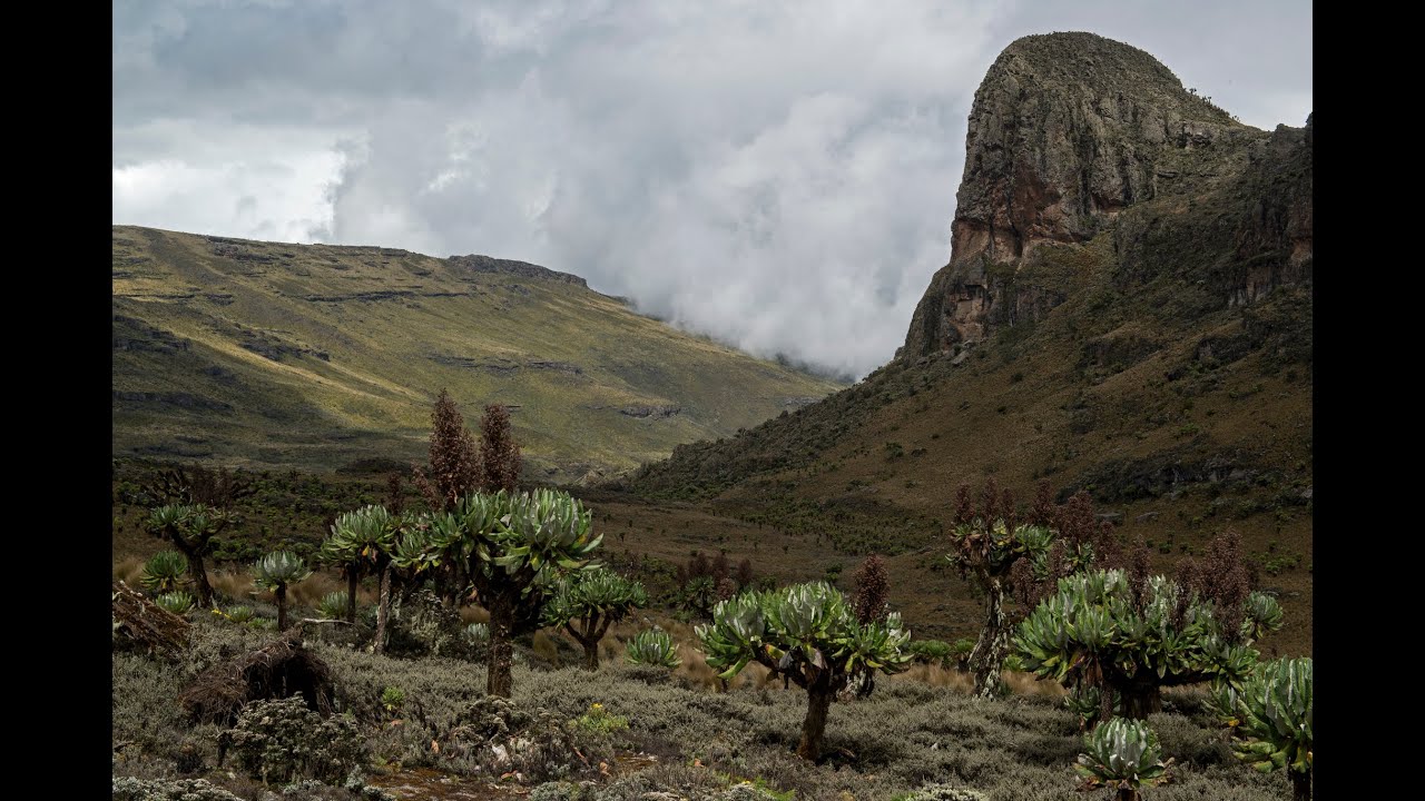 Reaching the peak - Mount Elgon National Park, Uganda