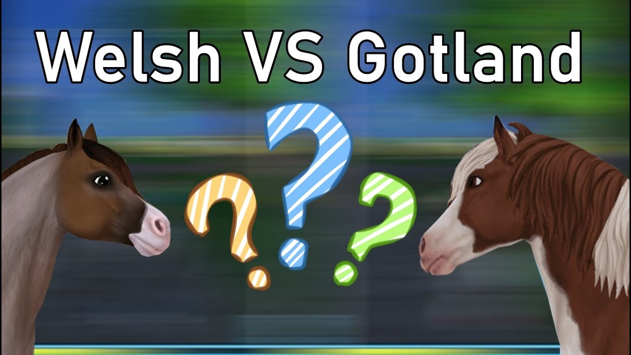 Poni Welsh vs Gotland (cual es mas rápido?)
