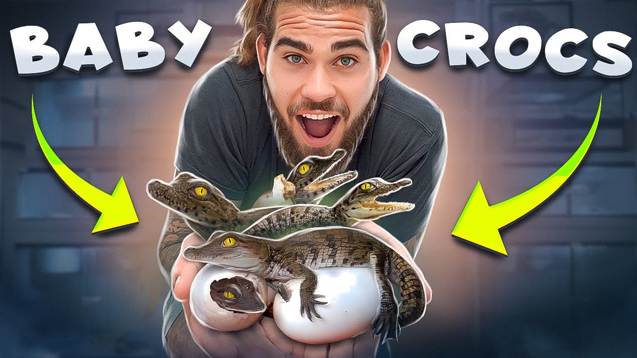 Adding 5 Baby NILE CROCODILE'S to my Collection! (Man Eating Species)