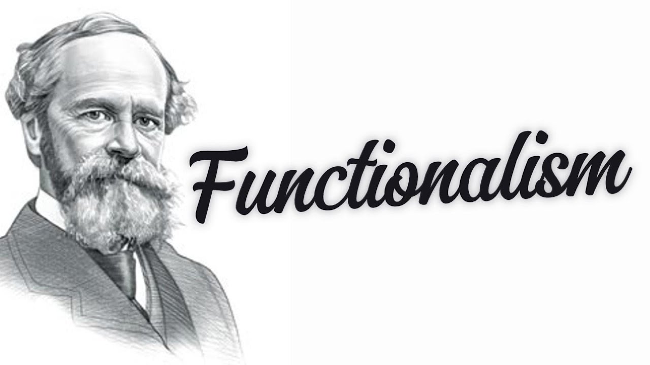 What Is Functionalism in Psychology? | William James&rsquo; Revolutionary Theory Explained