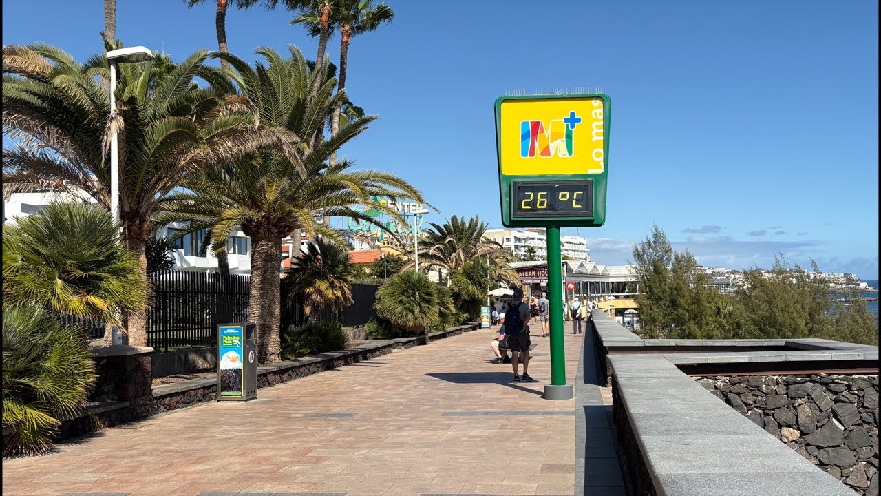 🔵Live Gran Canaria - Playa del Inglés. Summer Sun in Winter.  February 13, 2026