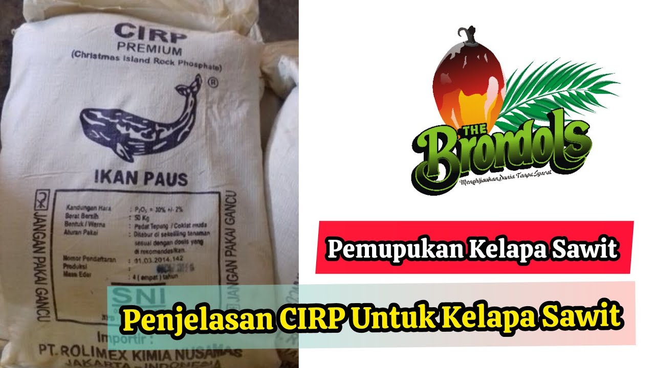 Penjelasan CIRP Untuk Kelapa Sawit