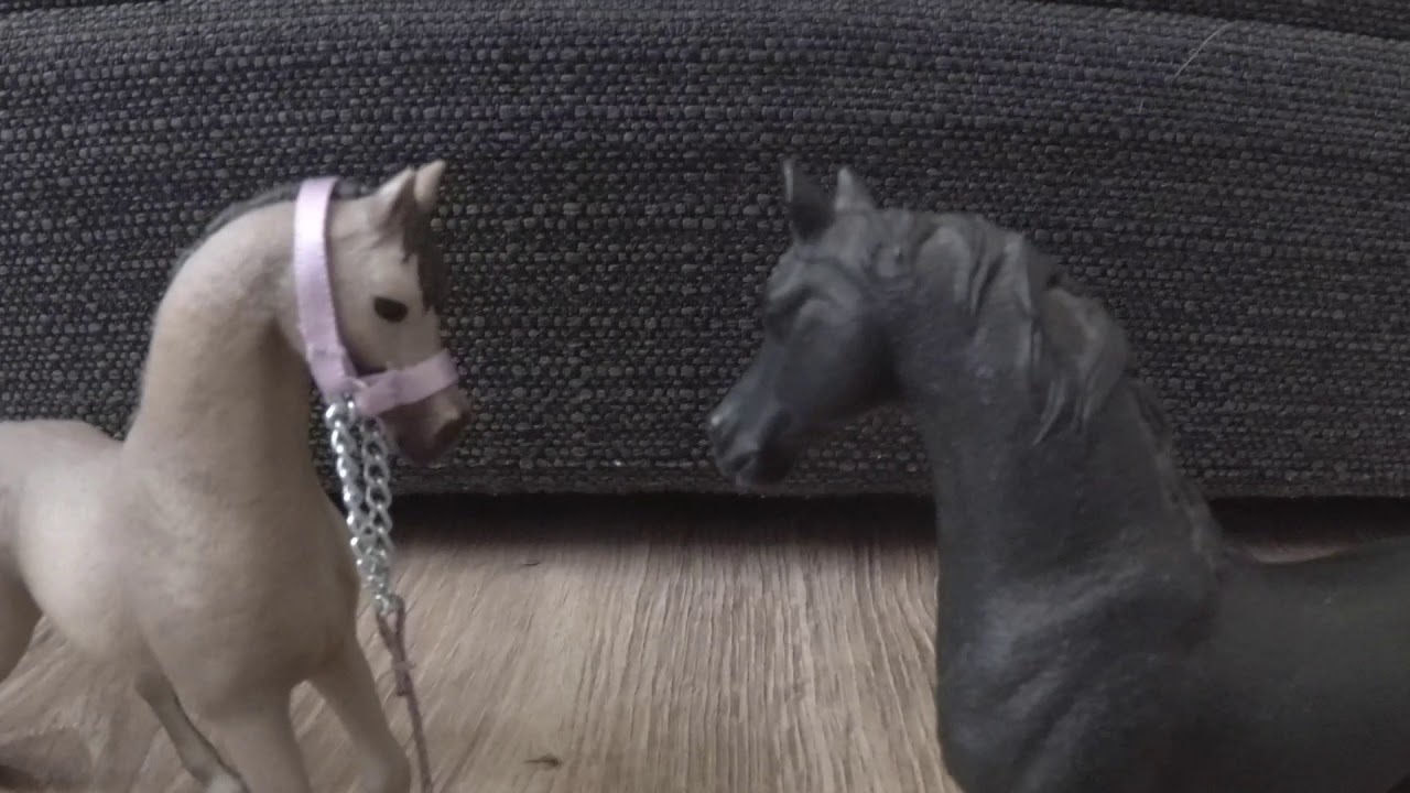 Historia Tekli (specjalny film z okazji 28 tys. subów) ❤️ 🐎