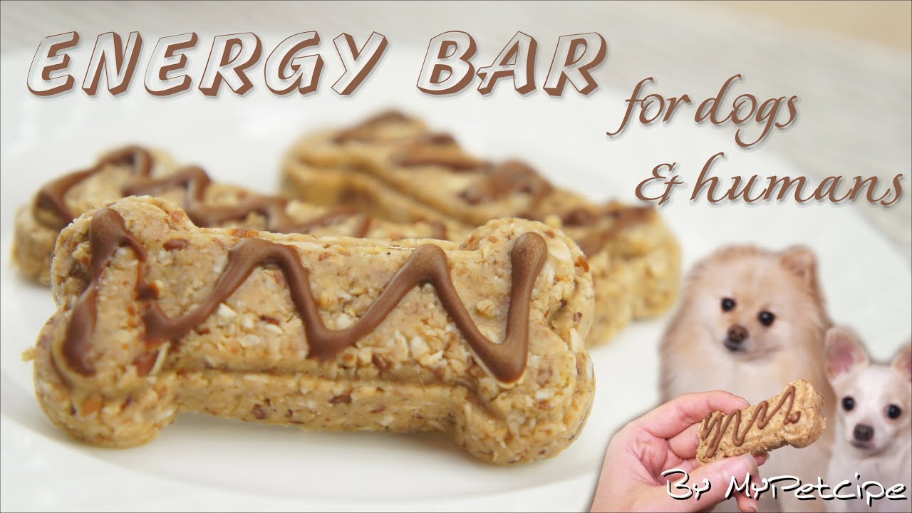 Energy Bar | No Bake Snack for Dog | MyPetcipe