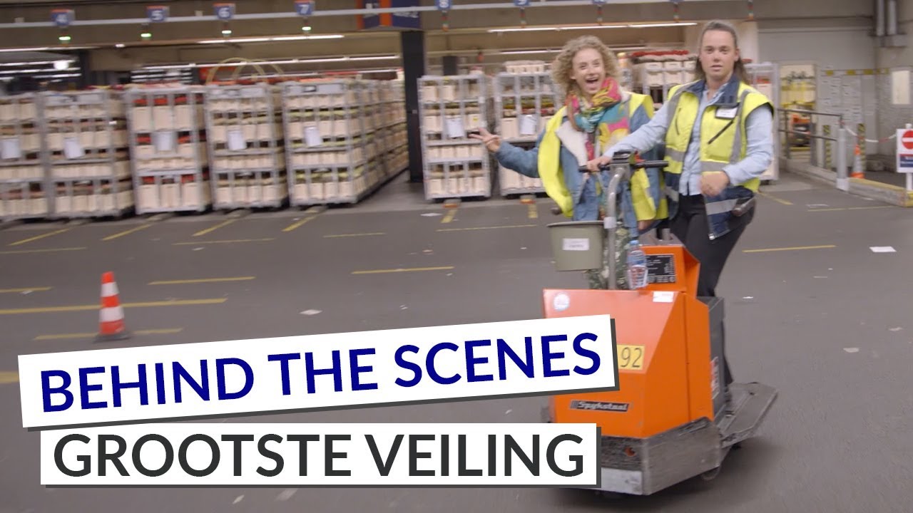 20 miljoen bloemen en planten per dag!? | Behind the scenes grootste bloemenveiling ter wereld