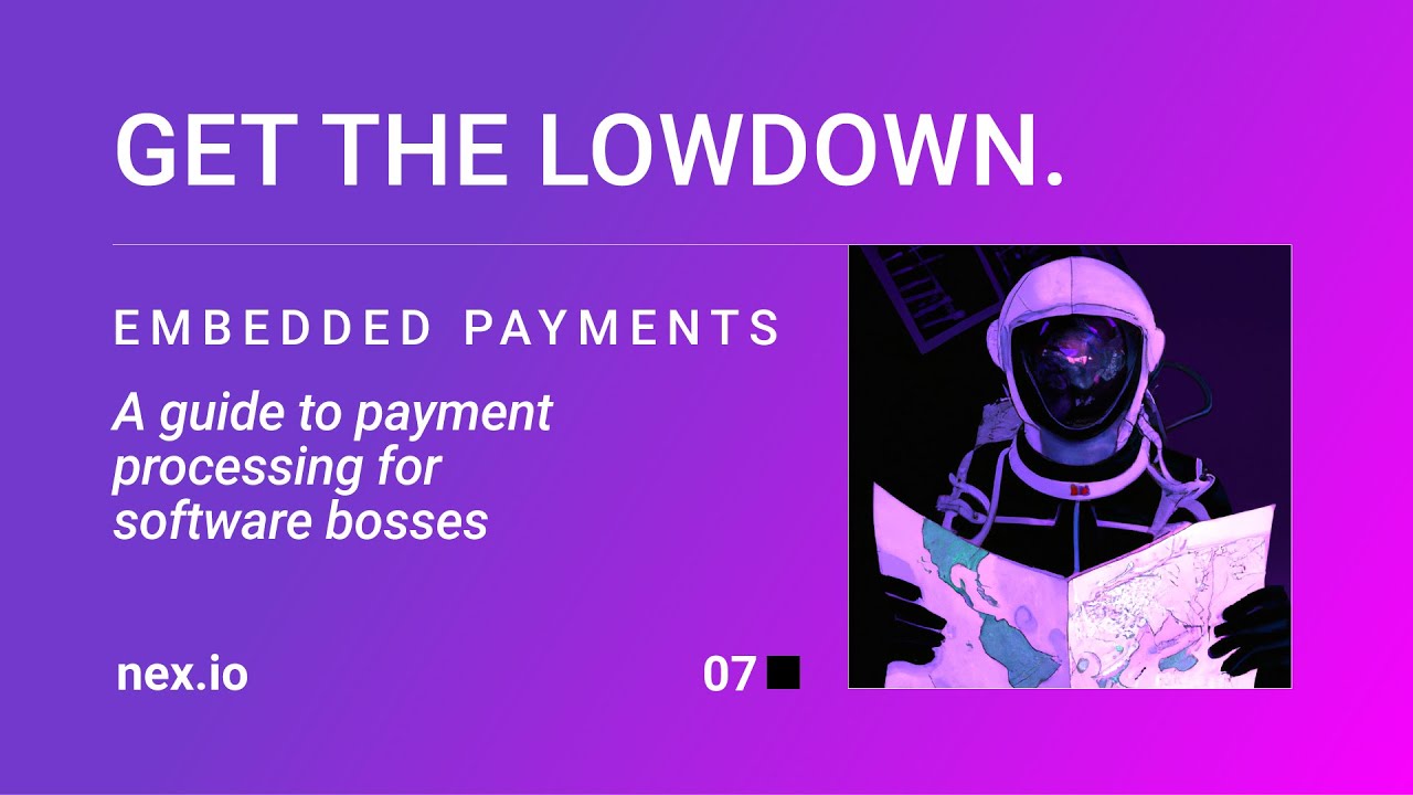 Integrated Payments:  A Software Execs' Guide to the Top 10 Players in the Payment Ecosystem
