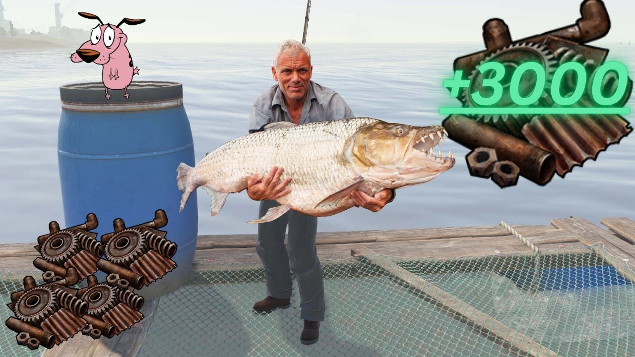 Rust Fishing and Shop Wipe (because im a coward)