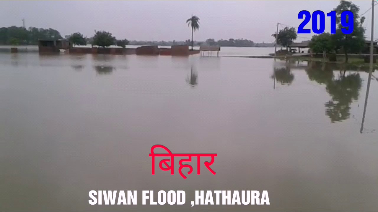 सिवान  बाड || SIWAN FLOOD || BIHAR.||  10 JULY 2019.|| HATHAURA ||