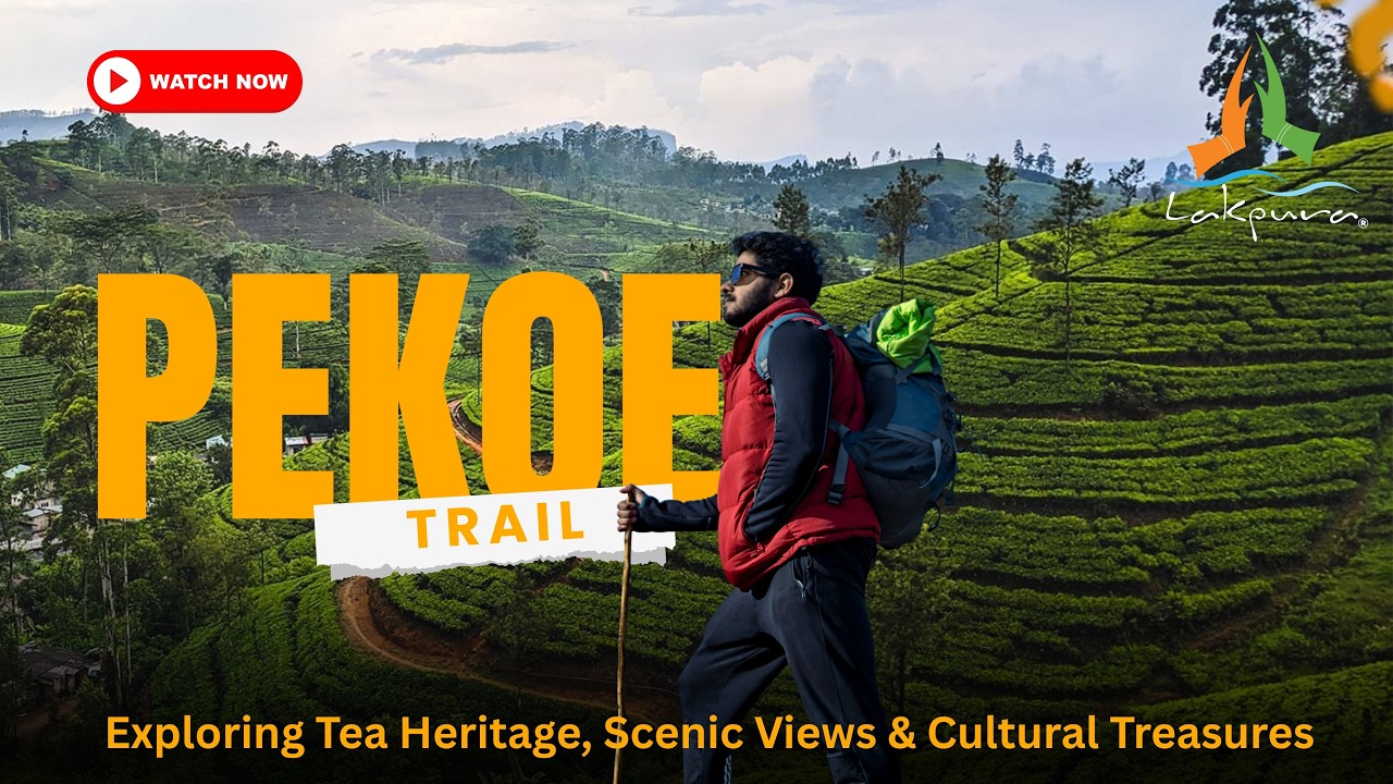 Pekoe Trail, Sri Lanka | Exploring Tea Heritage, Scenic Views & Cultural Treasures