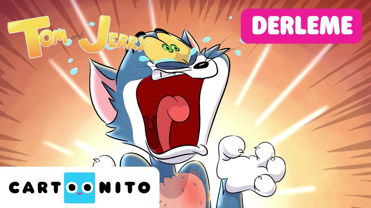 TOM VE JERRY | Büyük Eğlence Derlemesi #YENİ Çizgi Film | @CartoonitoTurkiye