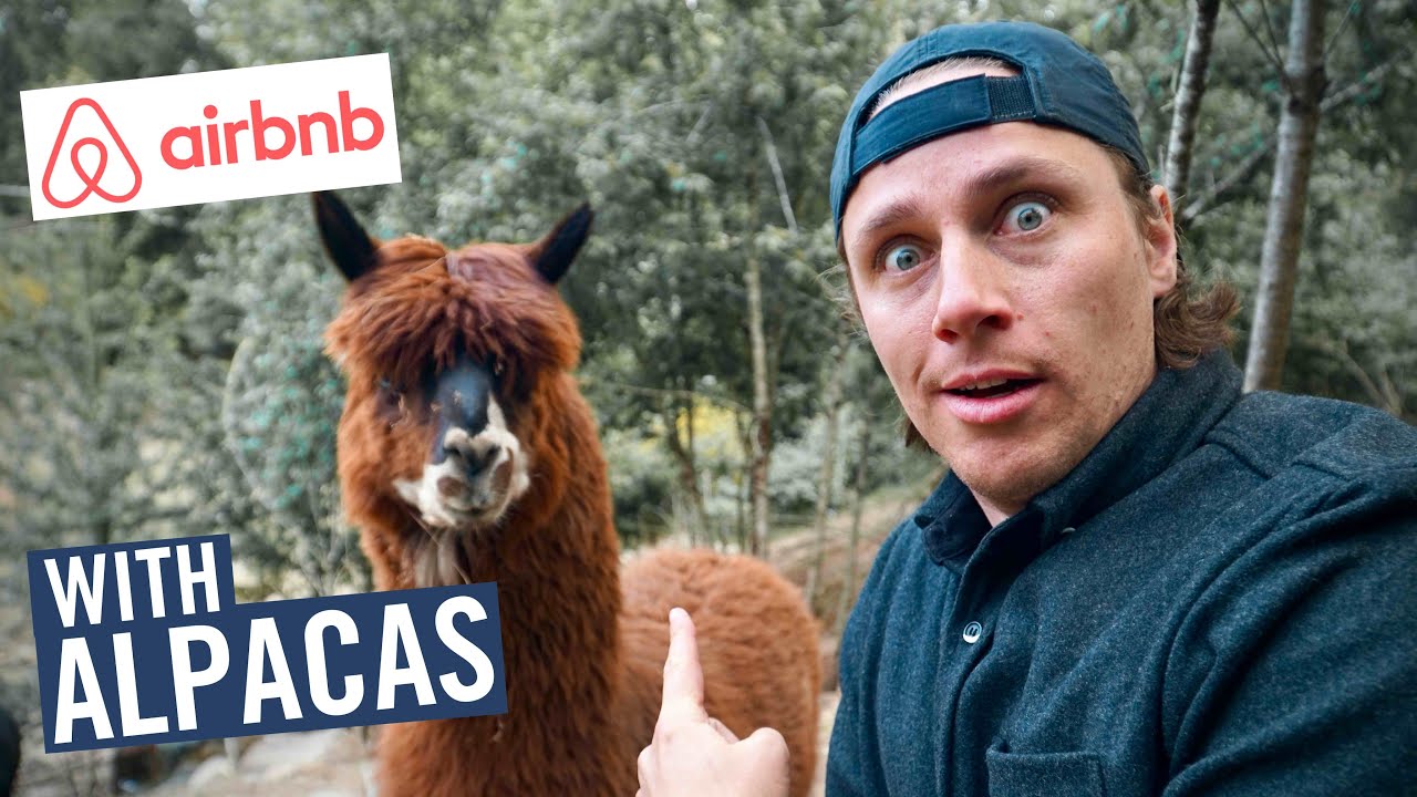 AirBnB's CUTEST NEW GETAWAY - The Alpaca Farm