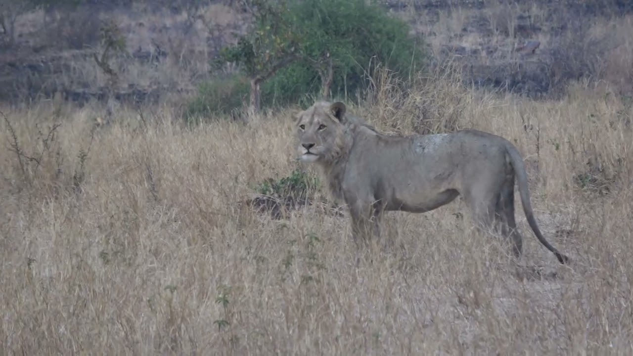 Kruger Park South Africa July august 2025 (3)