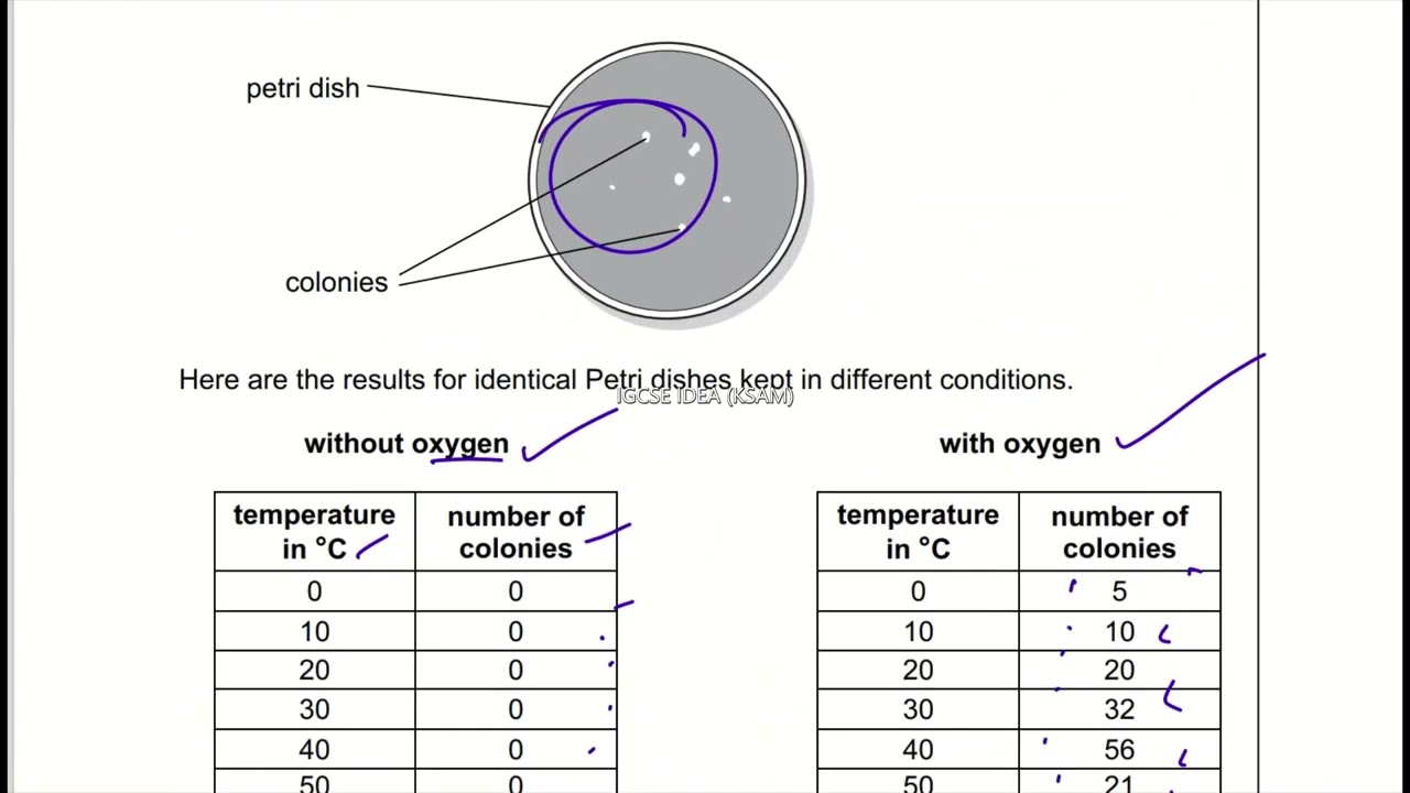 Cambridge secondary 1 science progression test past paper (paper 1)