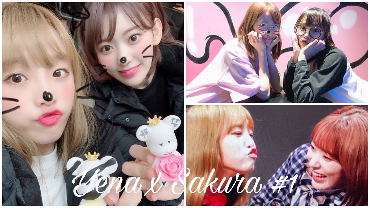 [IZ*ONE - Yena x Sakura] Tom and Jerry Ship Moments - #1