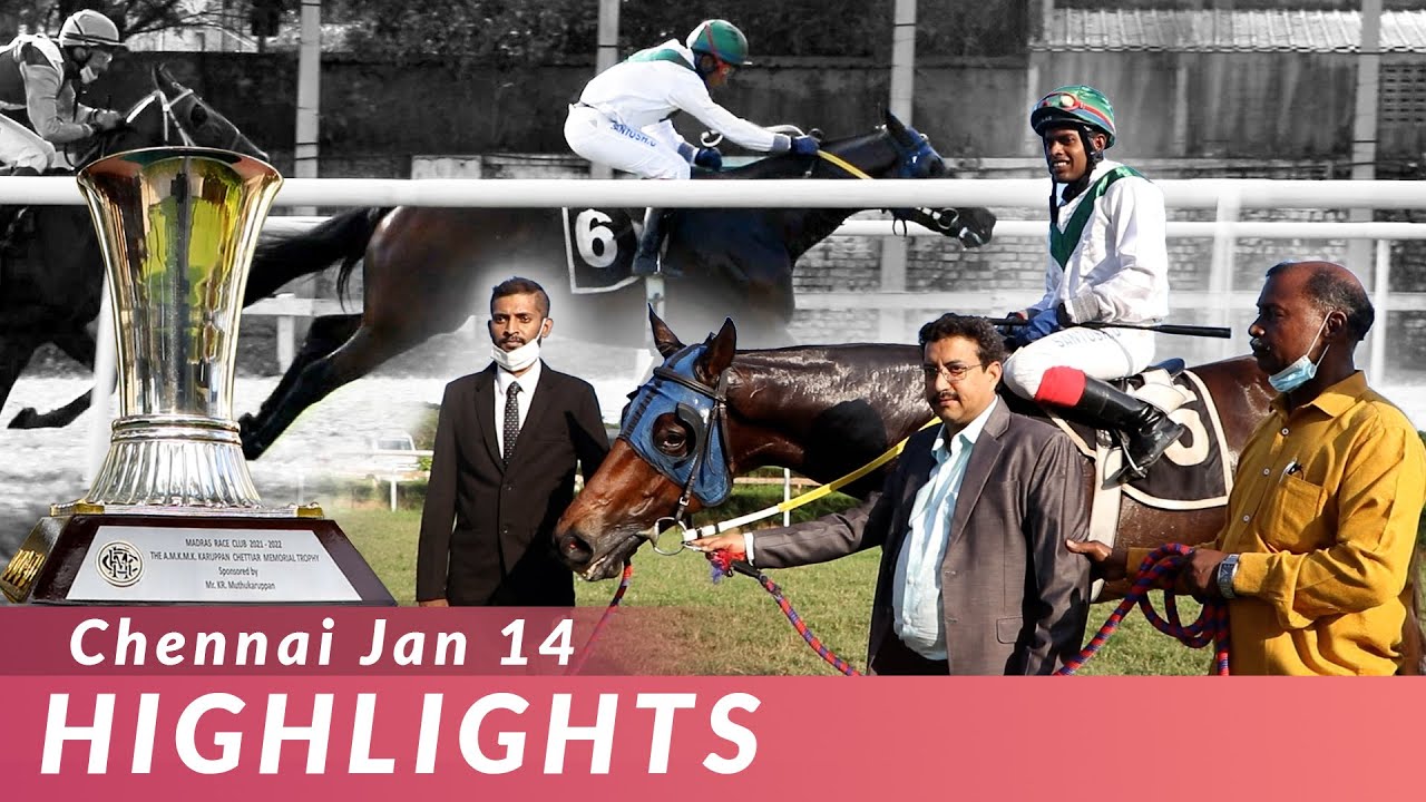 MRC Pongal Day | Highlights
