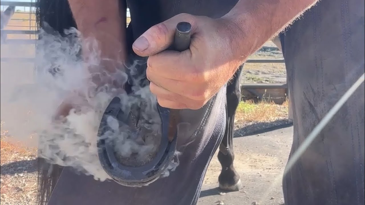 English Farrier at work