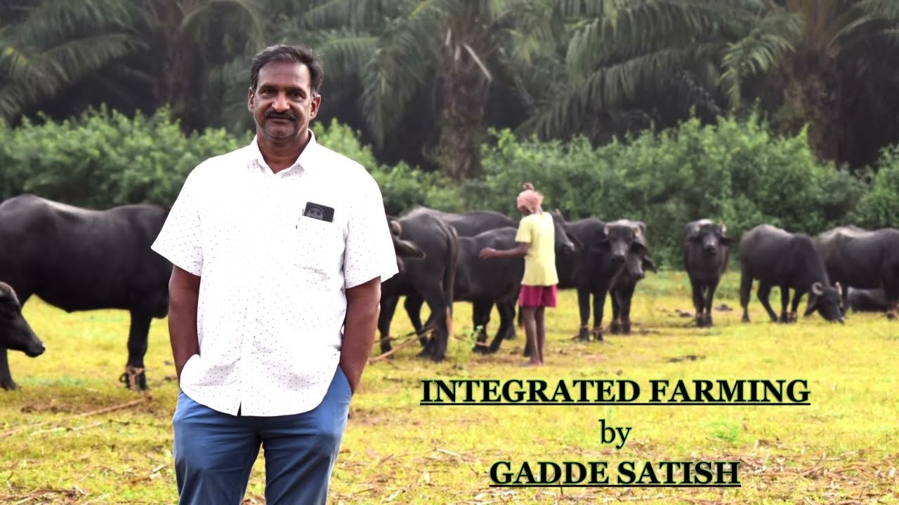 Cattle based Integrated Farming by Gadde Satish (English)