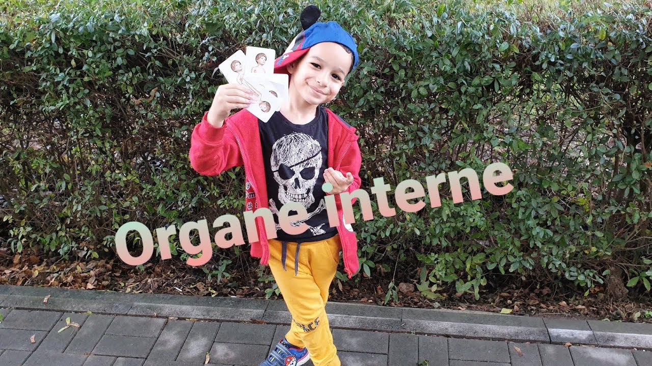 &Icirc;nvățăm Organe interne cu Omar