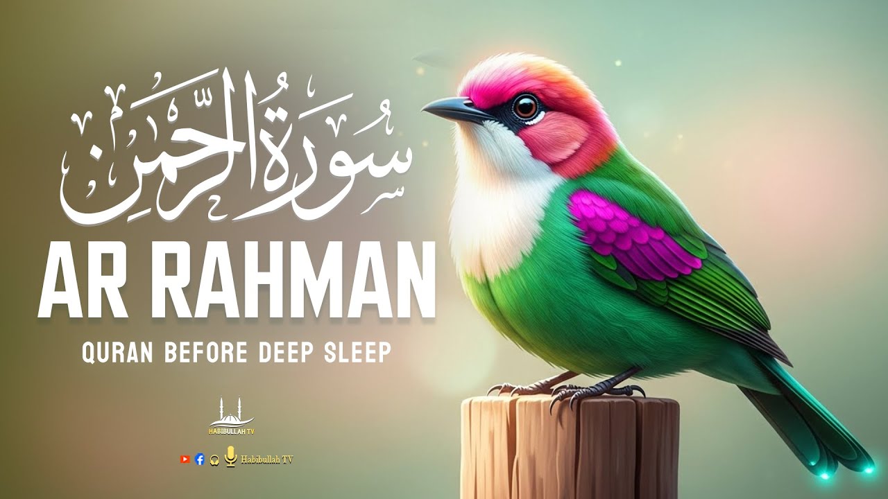 Surah Ar-Rahman (سورة الرحمن) | Relaxing Morning Lofi Quran for Heart & Inner Peace | Habibullah TV