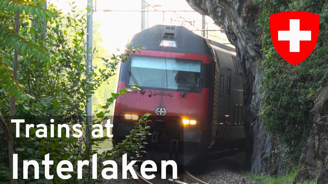 SCENIC Train Spotting at Interlaken, Switzerland