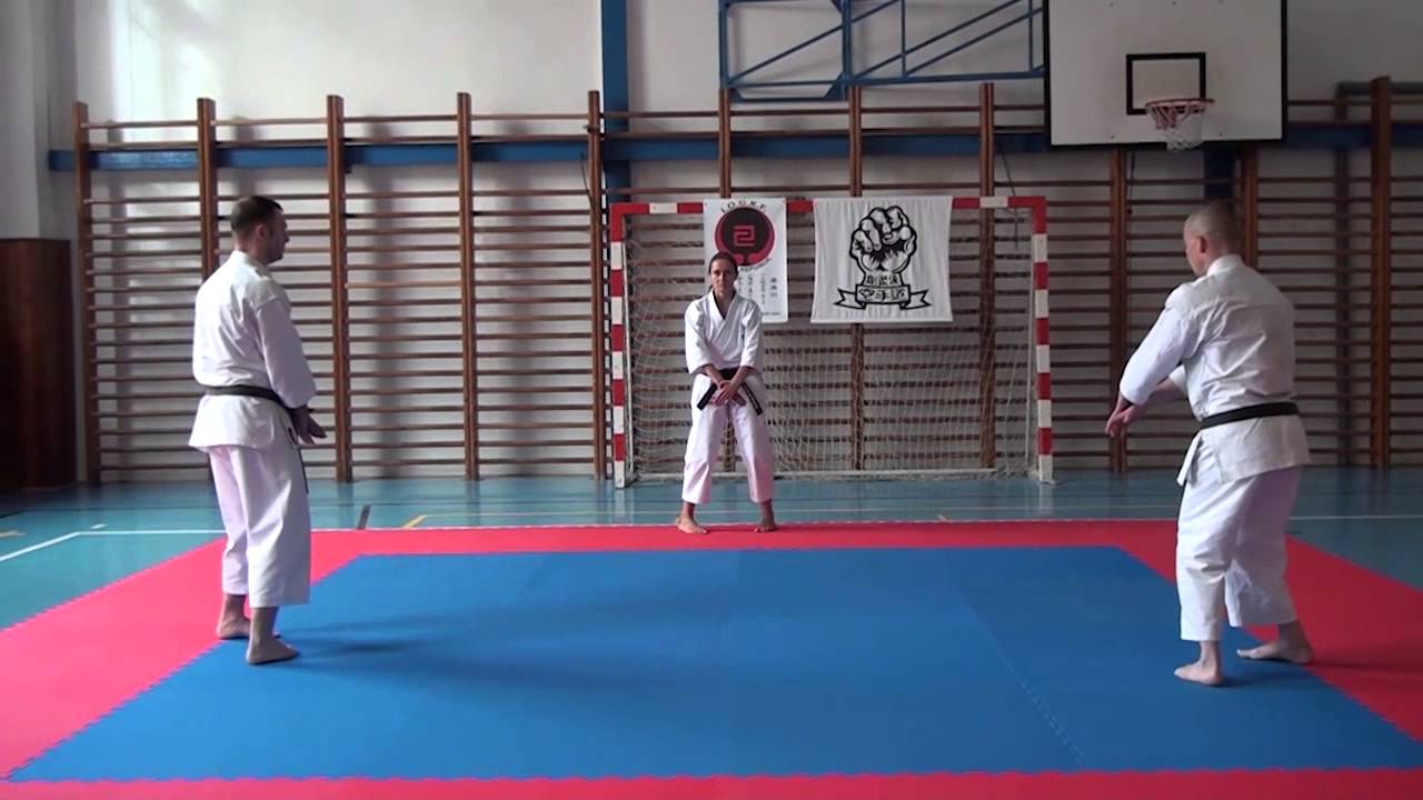 Gojukai Czech Republic - Seipai, bunkai, roppon