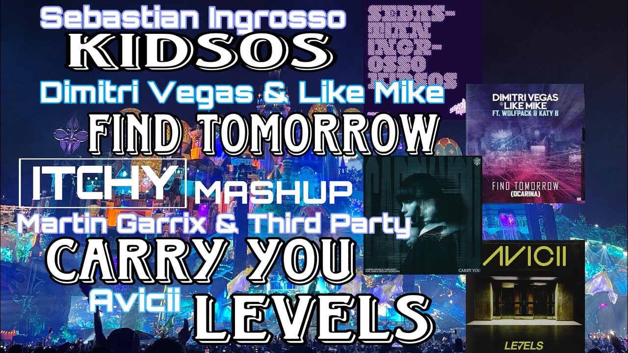 DV&LM × Martin Garrix&Third Party × Avicii - Kidsos vs Find Tomorrow vs Carry You vs Levels(mashup)