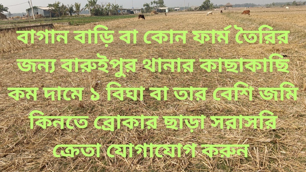 Near Baruipur Station 