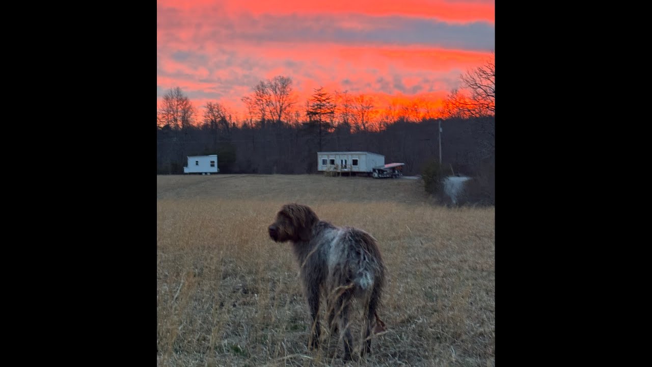 New Tiny Home Community near Fall Creek Falls, Tennessee-Limited Lots Left - 2 yrs Rent FREE 🏡🌲