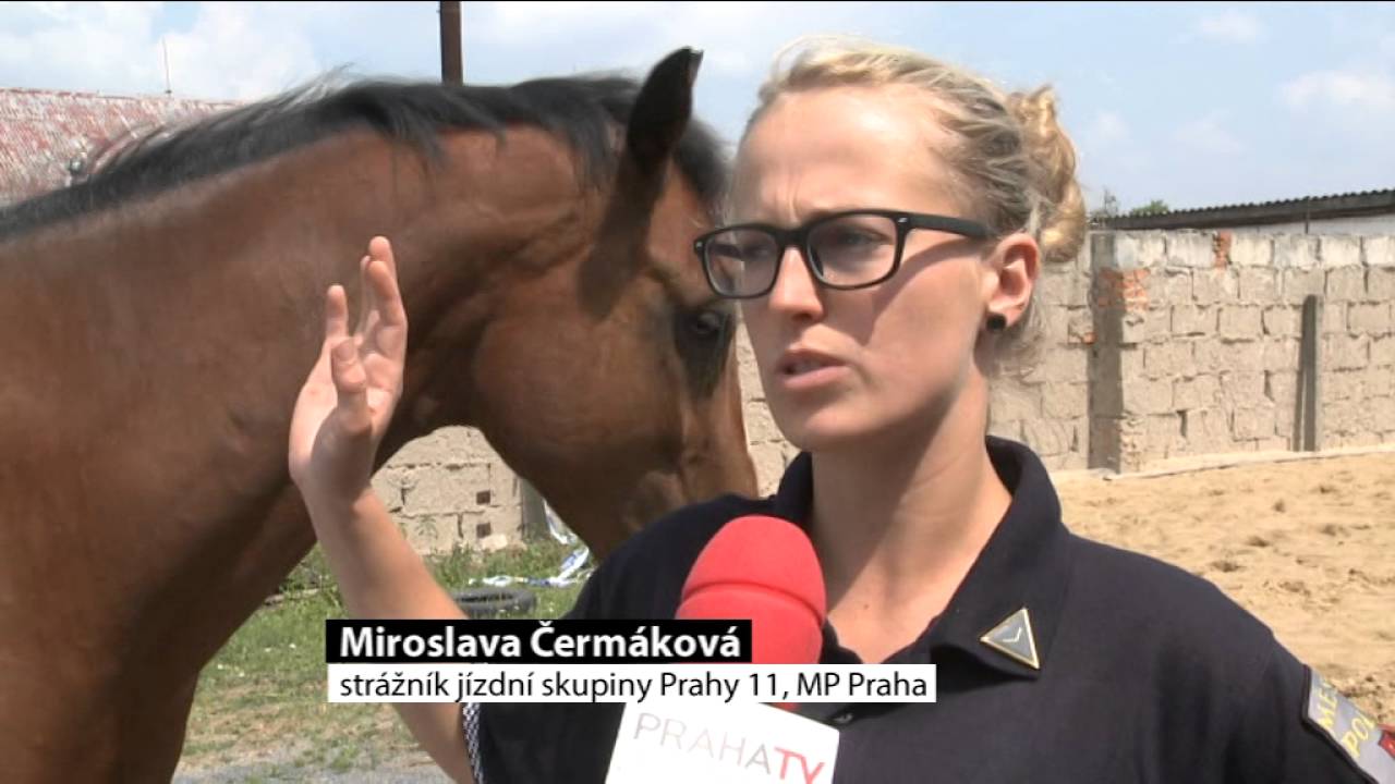 Městská policie MČ Praha 11 měla koně jako první