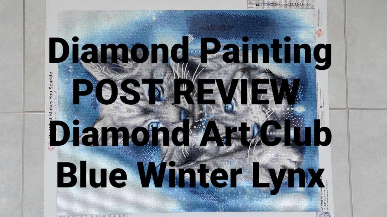 POST REVIEW Diamond Art Club Blue Winter Lynx