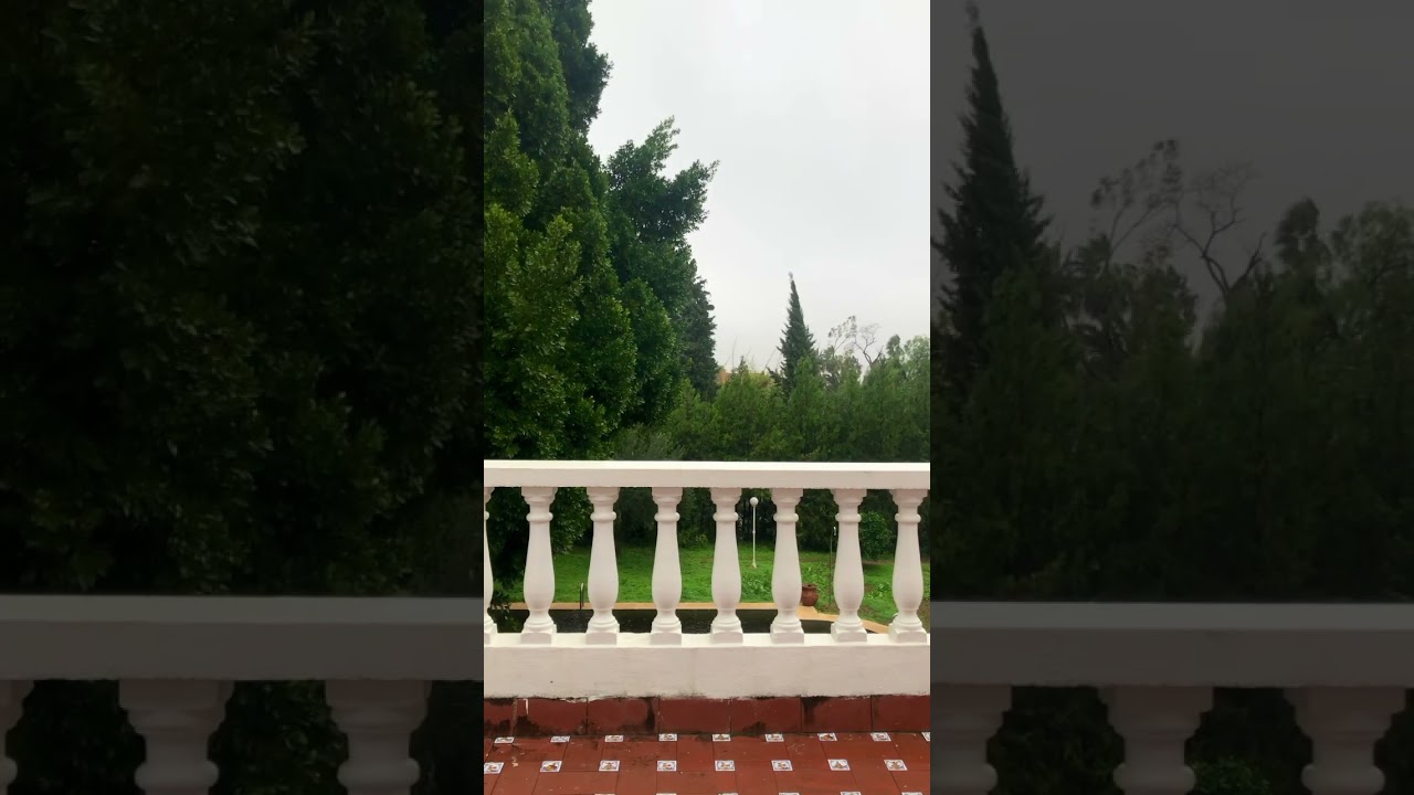 rain 🥰🥰🥰