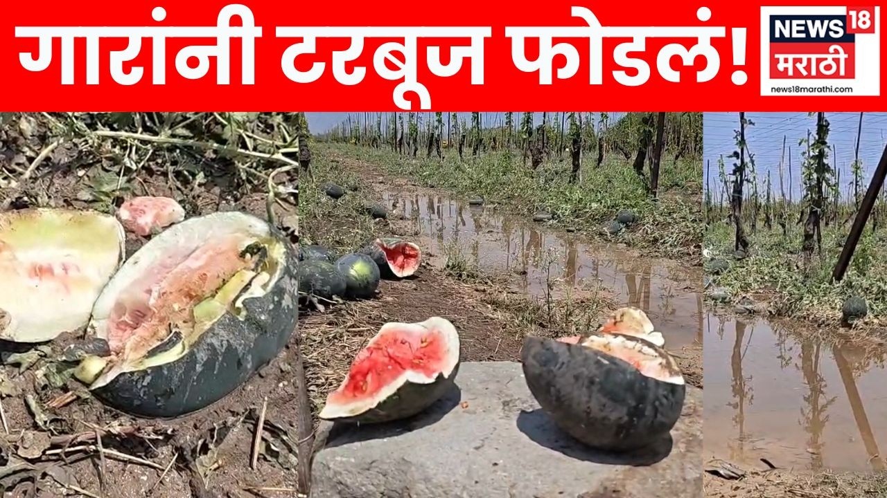 Dharashiv Farmers News | गारपिटीने कलिंगड शेती उद्ध्वस्त; काढणीपूर्वीच शेतकऱ्याचे मोठे नुकसान
