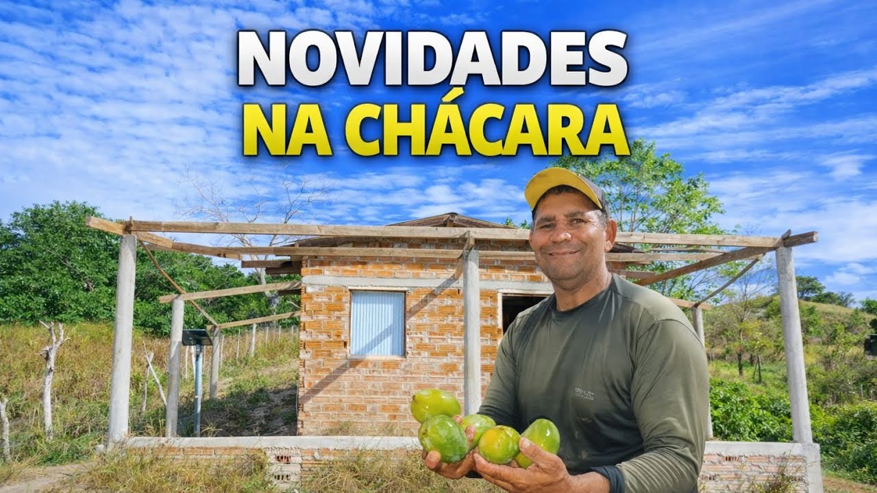 VEJA COMO ESTÁ FICANDO NOSSA CHÁCARA + MUITA FARTURA 🏡 | @rosyliraoficial 