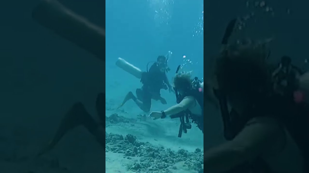 This is why I&rsquo;m not fond of scuba divers #shorts