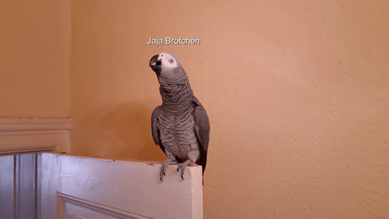 Lilo das sagt man nicht