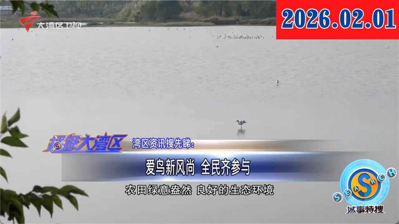 【城事特搜】爱鸟新风尚 全民齐参与|金灶桑葚甜蜜上市 “订单农业”助农增收|非遗“火虎”上演流动的火光盛宴|20260201完整版 #粤语 #news