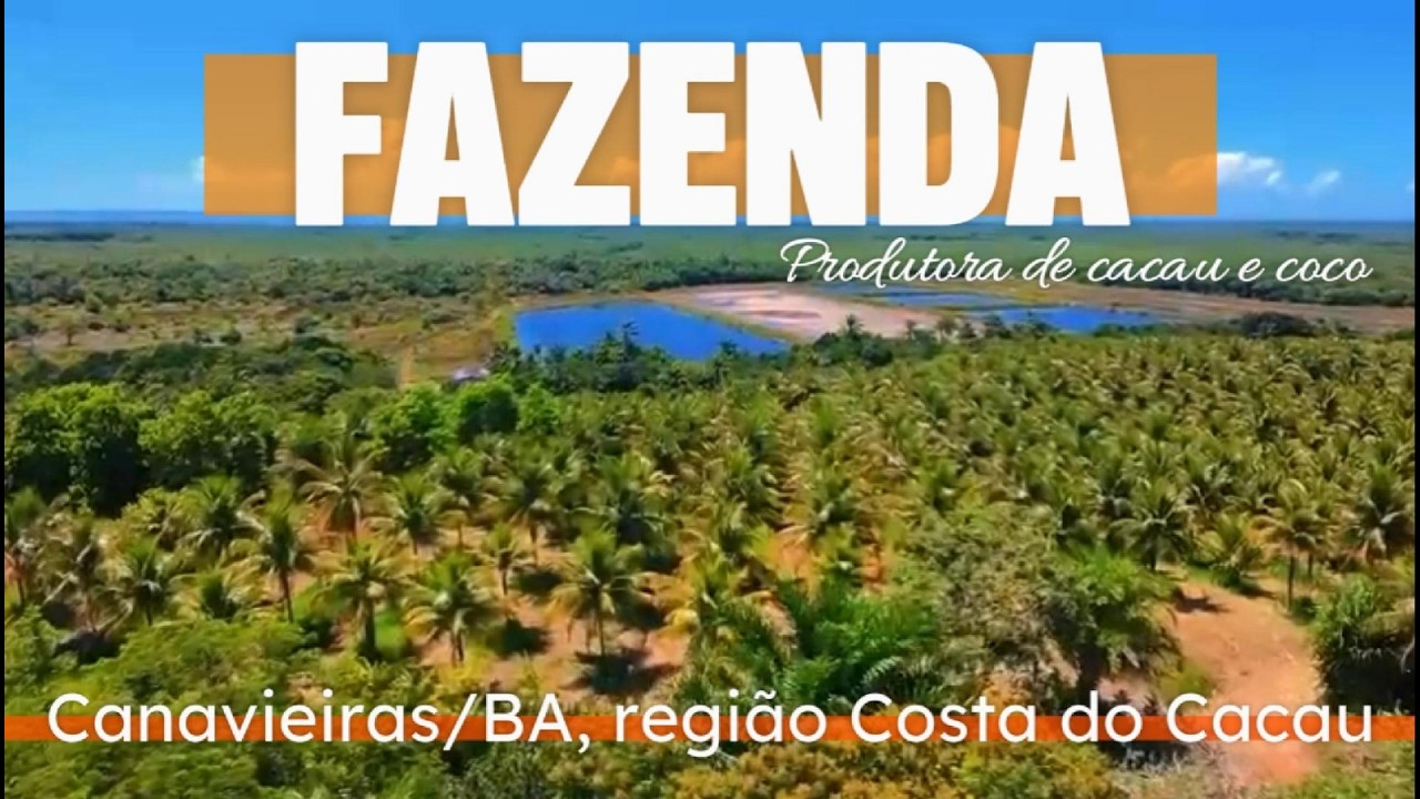 Fazenda para Venda na cidade de Canavieiras/BA, região Costa do Cacau.