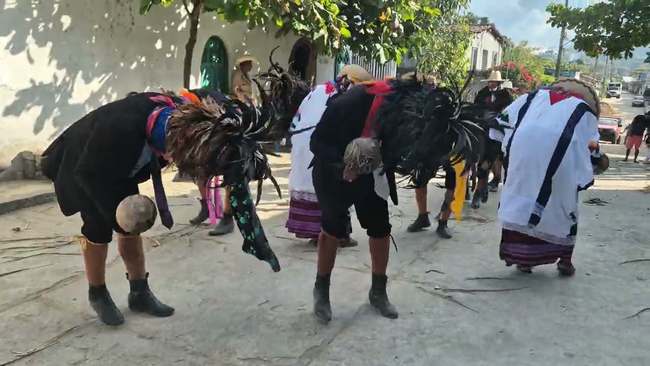 Tejorones de Pinotepa de Don Luis 09/02/2026