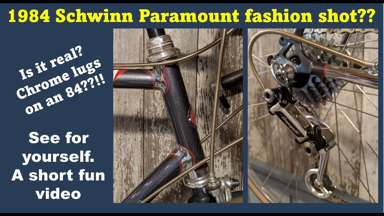 84 Schwinn Paramount beautiful details bicycle collection.