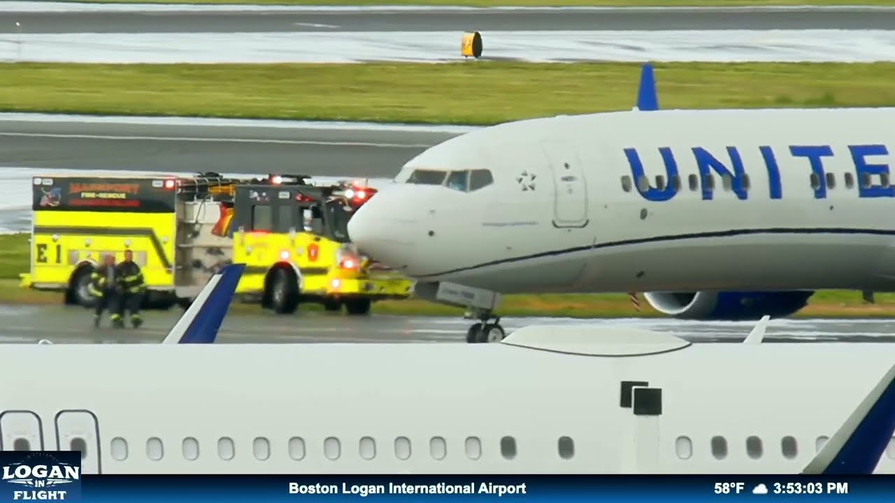 Столкновение птиц с самолетом United Airlines в Логане повредило крыло — снято на камеру!