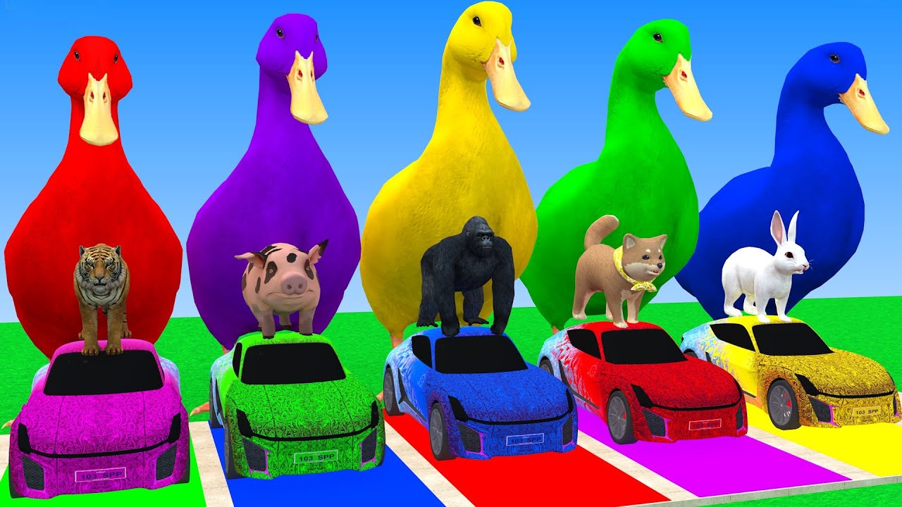 Long Slide Game With Cow Elephant Gorilla Hippopotamus Tiger 3d Animal Game Funny 3d Animals