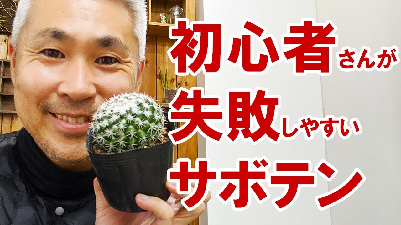 これさえ覚えればもう枯らさない！　サボテンの育て方 水やりのコツと植え替え