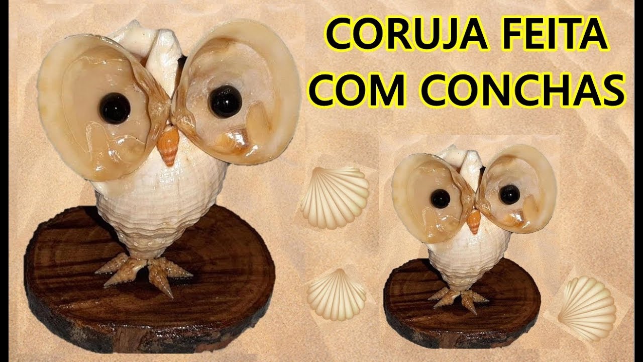 Coruja feita com conchas - diy