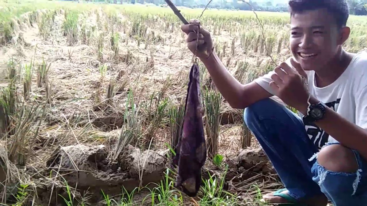 Video lucu#gila#ngakak#viral#mancing belut sial#