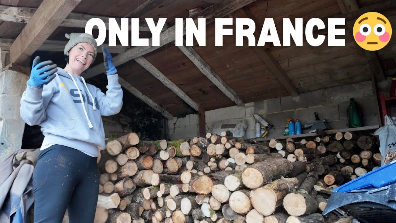Emergency Firewood, Broken Gates & Leaking Roofs 🇫🇷 Real Life Living in Rural France